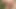 Grow big cockhead mastürbasyon, sperm, cumshot, amatör, kesilmemiş sünnet derisi, Almanca