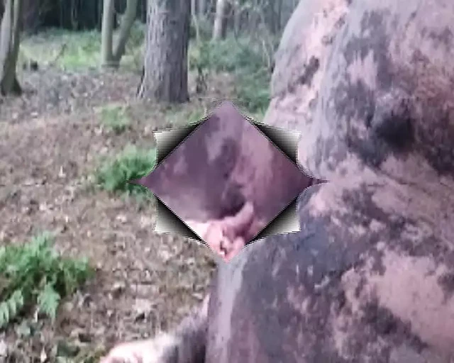 Bölüm 3 ormanda edepsiz oyun