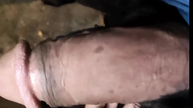 Üvey kız kardeş büyük panis'i sikiyor