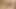 Adam eşcinsel duş anal yapay penis oyuncak travesti duş yağlı