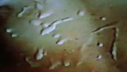 Cum yüz