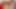 Nine Velma Dinkley'in hızlı yarak emme derlemesi 62021comp