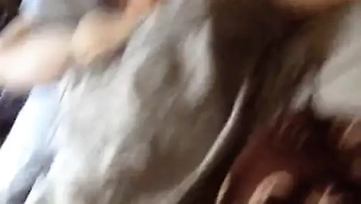 ikna edici koca uyanık