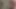 Seksi iç çamaşırlı azgın kız sikişmek istiyor