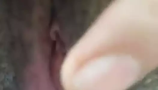 Şaşırtıcı arabe kedi