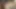 Heißer Interracial Fick mit geiler Weißer