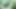 Stacxxxs sunar: Greenlight Special - Amber Lee
