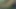 Asosyal web kamerası transeksüel döl fışkırtıyor