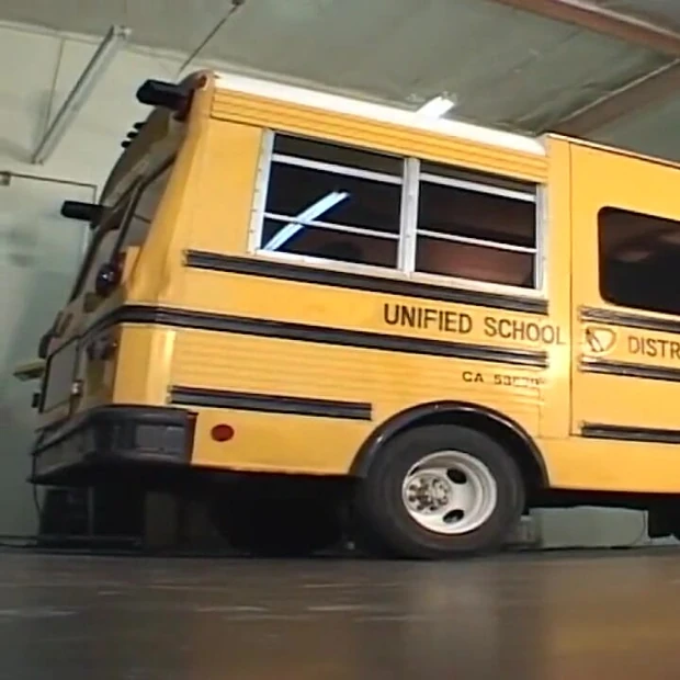 Свиную хвостатую тинку трахают в автобусе