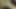 Bekarlığa yemini Layla Rivera genç amını ıslatmak için büyük bir dildo alıyor