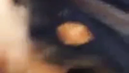 UNA CHICA SE MUESTRA PARA MI