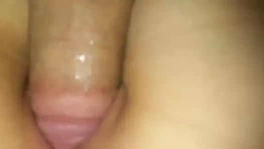 Sıkı küçük kedi