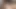 Canavar yarak Asyalı transeksüel ladyboy polla götten ağza sikiliyor