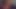 Sunflowersauce videosu