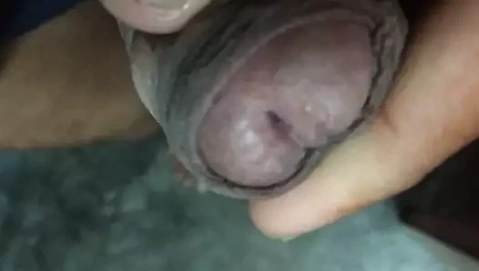 benim horoz yakın Yukarı