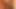 Zenci orta yaşlı seksi kadın melrose foxxx kocasını büyük yaraklı bir adamla aldatıyor