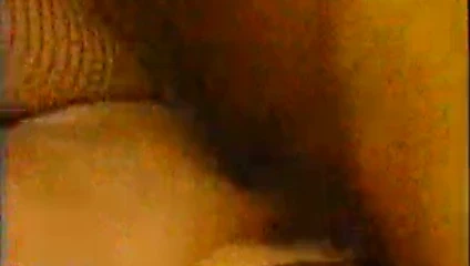 Yavru kedi natividad sahnesi