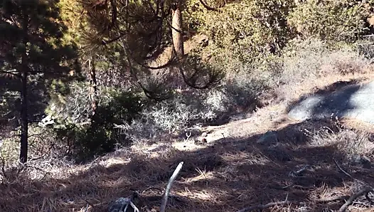 Bir dik olmak 0.4.0 bölüm 30 beklenmedik hain hikayesi oyunu loveskysan69