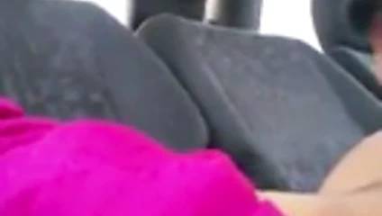 paki yalama KEDİ içinde araba