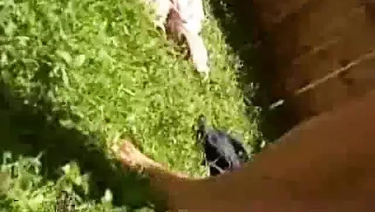 Güneş ışığı sevenler şehvet içinde parlıyor