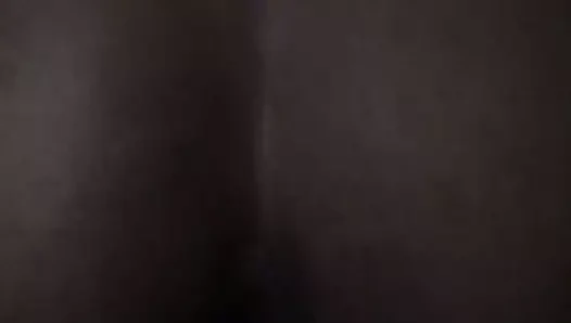 Bbc içinde kremsi kedi