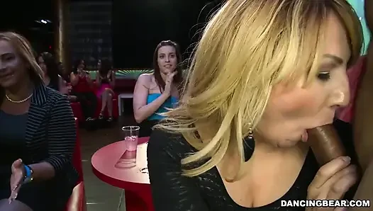 Dans eden ayı - bu çılgın kızlar bekarlığa veda partisi veriyor ve başlamak için dans eden ayıdan daha iyi olan