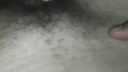 yalama kıllı KEDİ