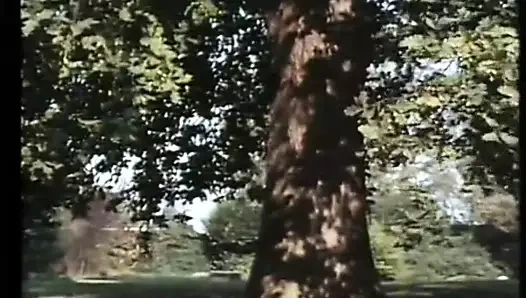 La Cage aux partouzes (1977)