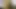 Güzel Afrikalı amcık ve desi ateşli seks geceleri ev ödevi yapmak için odama geldi porno seks videoları xxx