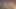 Minyon tatlı pepper xo hayranları için sert sikişmeden önce sert yarağını ellerine ve ağzına alıyor
