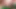 Suudi güzel orta yaşlı seksi üvey anne üvey oğlu tarafından sikiliyor - büyük göt sikişi ve döl