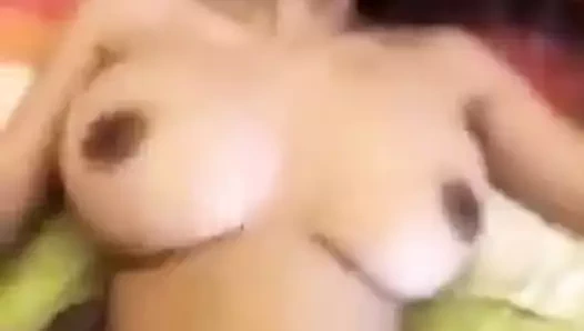 Büyük memeli Taylandlı