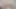 Deneyimli kaltak acemiyi test ediyor