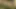 Mandy'nin bugün size gösteren bir genç kızın ilk oyuncu seçmeleri