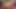 Olgun popo sürtük fişle poz veriyor ve boğa kilosu olarak Creampie için yalvarıyor ve kıçını bir sürü cum ile dolduruyor!