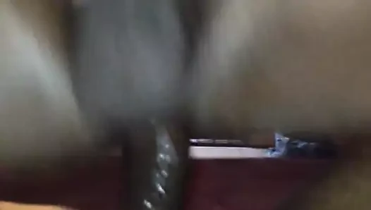 Sri lanka oğlan binicilik horoz eyersiz