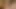 Seksi lezbiyenler tanya ve inari muff çimlerde dalış yapıyor