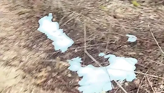 Ormanda Çok Havalı Işiyor