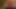 santas little helper under the Christmas tree now in full 4K high quality Ultra HD