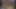 3447