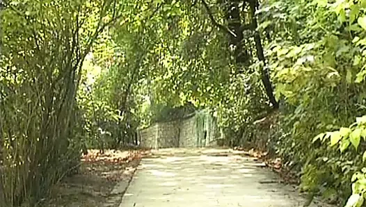 Europorn pdc - tam film