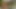 İki muhteşem kız havuz başında dildo paylaşıyor