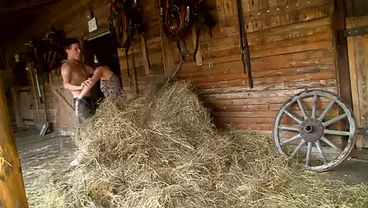 Büyük memeli esmer tatlı amına sağlam sert bir yarak alıyor