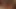bağbozumu transeksüel 2