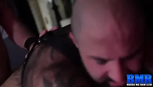 Breedmeraw - Atlas Grant Aiden Storm'a hizmet etmek zorunda