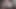 Gotham şehrinde yarak emiyor