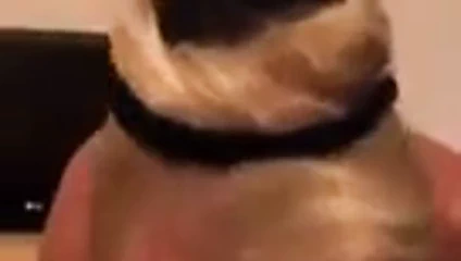 John terrys üvey anne seks kaseti