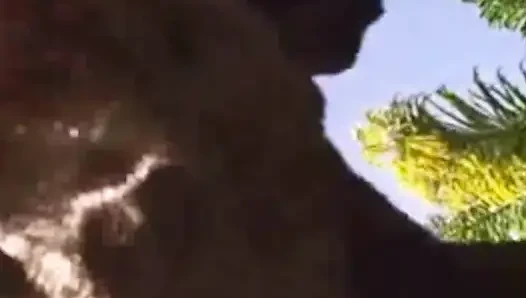 Brandon'ın ıslak havuz macerası