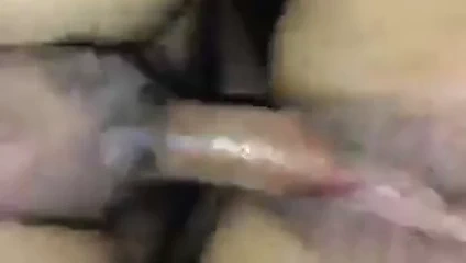 Sulu kedi almak parçalanmış tarafından dev mexican çük