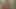 Çarpıcı Alman milf ile şaşırtıcı yuvarlak memeler arka bahçede çarptım alır